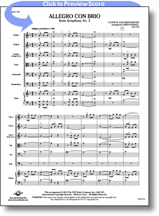 Ludwig Van Beethoven - Allegro con brio -from Symphony No. 5