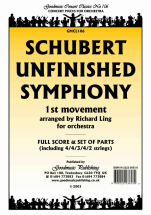 Franz Schubert - Unfinished Symphony (1st movement)